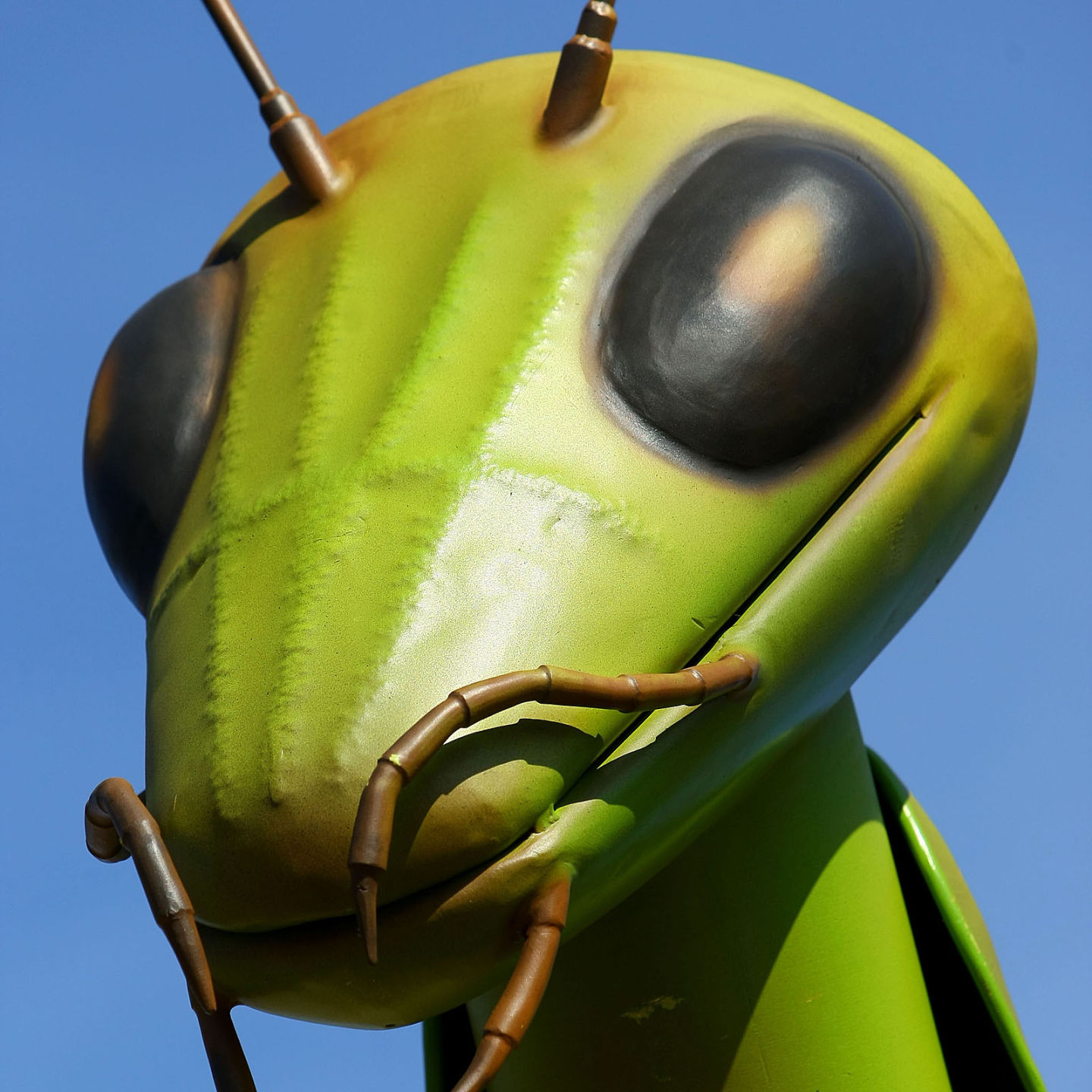 4. Kokomantis